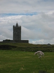 26918 Doonagore Castle with out of focus flower.jpg